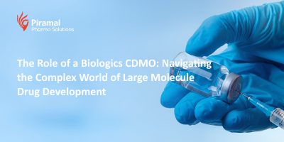 The Role of a Biologics CDMO: Navigating the Complex World of Large Molecule Drug Development
